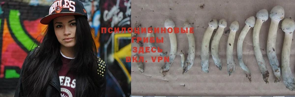 сатива Арсеньев