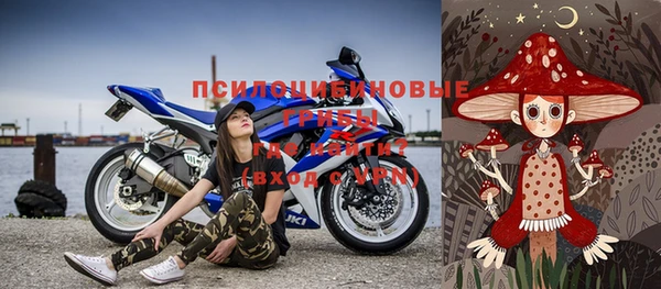 сатива Арсеньев