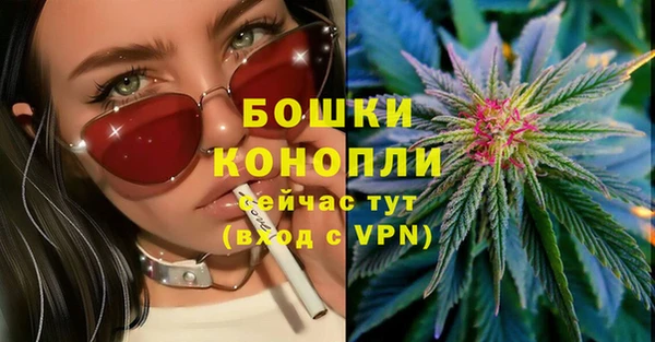 сатива Арсеньев