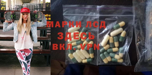 сатива Арсеньев