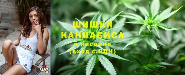 сатива Арсеньев