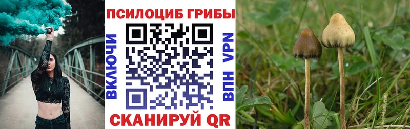 Псилоцибиновые грибы MAGIC MUSHROOMS  даркнет наркотические препараты  Белово 
